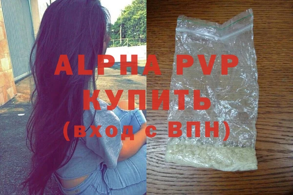 гидра Корсаков