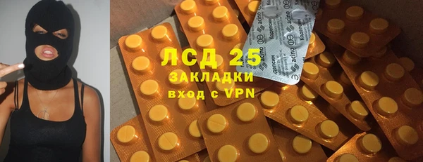 гидра Корсаков