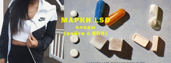 ПСИЛОЦИБИНОВЫЕ ГРИБЫ Коряжма