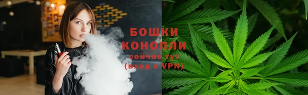 ПСИЛОЦИБИНОВЫЕ ГРИБЫ Коряжма
