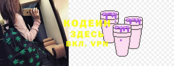 гидра Корсаков
