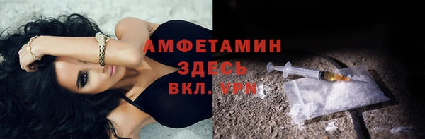 гидра Корсаков