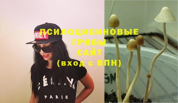 ПСИЛОЦИБИНОВЫЕ ГРИБЫ Коряжма