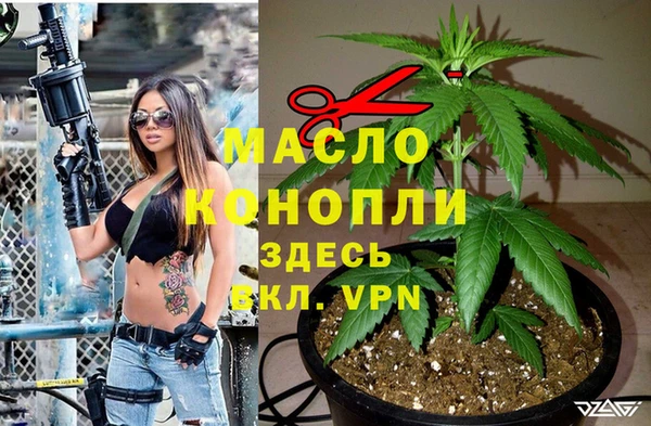 гидра Корсаков