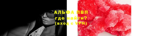 ПСИЛОЦИБИНОВЫЕ ГРИБЫ Козельск