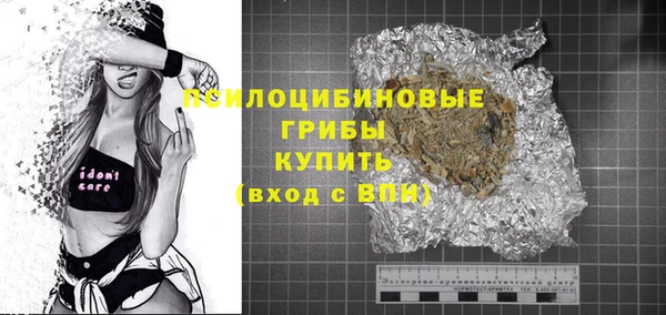 ПСИЛОЦИБИНОВЫЕ ГРИБЫ Коряжма
