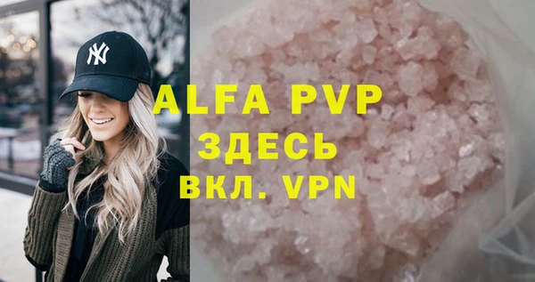гидра Корсаков