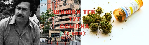 гидра Корсаков