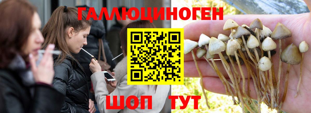 Красный Сулин  купить   Псилоцибиновые грибы Psilocybe  Вход с VPN  Псилоцибиновые грибы MAGIC MUSHROOMS 